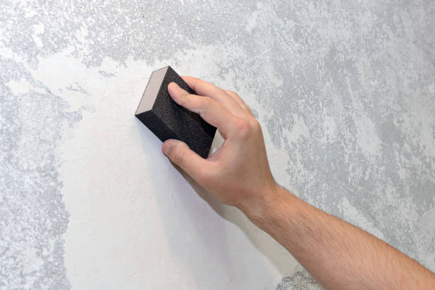 Best Forensic Mold Investigation  in Minier, IL