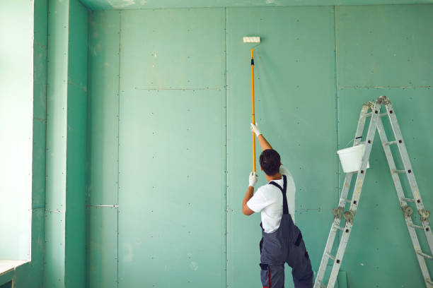 Best Dehumidification Services  in Minier, IL