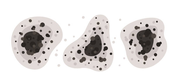 Best Air Quality Testing for Mold Spores  in Minier, IL