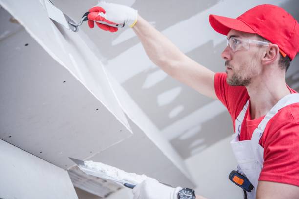 Best Crawl Space Mold Remediation  in Minier, IL